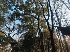 -汇龙潭