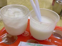 -洪馨椰子