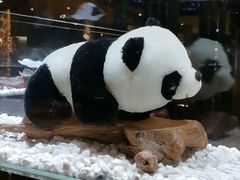 -红辣椒·川菜·火锅(张杨路店)