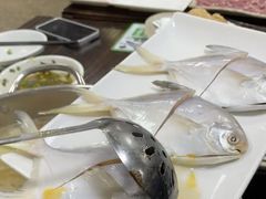 -肥婆麻辣火锅.顺德首创药材麻辣火锅(容桂店)