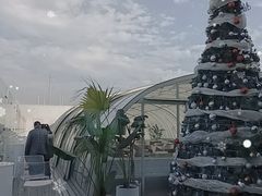 -Hi City·城市之巅