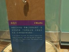 -香港科学馆