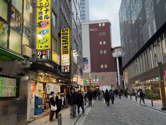 -秋叶原电器街