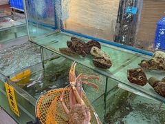 -寻味顺德·南记酒家·传统顺德菜·鱼生(广源路店)