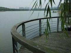 -羊山湖公园