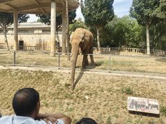 -石家庄市动物园