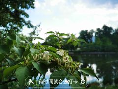 -国家植物园