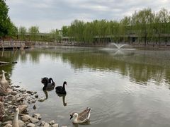 -河北村民俗体验园