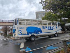 -台场海滨公园船码头