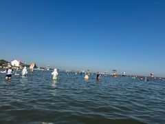-碧海金沙