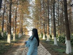 -苏州东太湖生态园