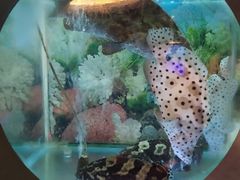 -辉哥火锅(虹桥路店)