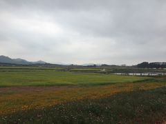 -光明小镇欢乐田园