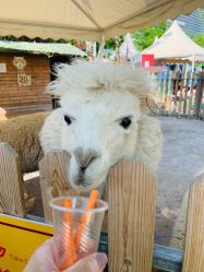 -萌宠亲子动物乐园(槐房万达店)