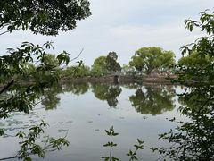 -无锡蠡湖国家湿地公园-蠡园