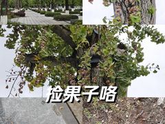 -两江幸福广场
