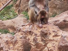 -昆明动物园