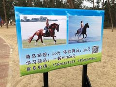 -玫瑰海岸文化旅游度假区