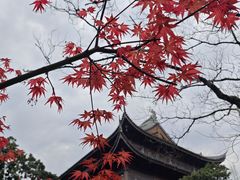-龙华寺