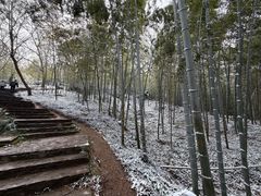 -紫金山山顶公园