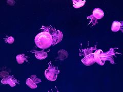 -南京金牛湖风景区