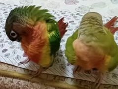 -晓港公园