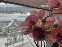 -楚禾宴·家宴(光谷大道店)