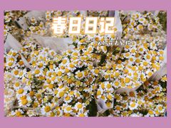 -循礼门鲜花花市(武汉循礼门店)