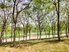 -洨河生态公园