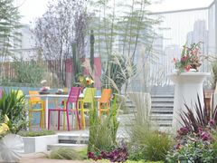 -重庆市江北嘴中央商务区中央公园