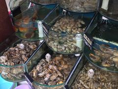 -烁佳海鲜大馅饺子