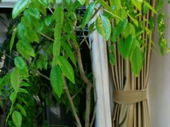 -精德口腔·种植修复·儿牙中心(财富中心店)