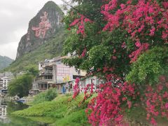-长寿村