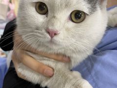 -芭比堂宠物医院·全科爱猫医院·仁德分院