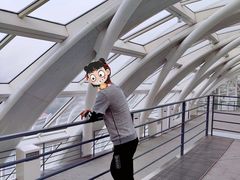 -凤凰中心