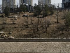 -太原动物园