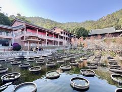 -石峰岩寺
