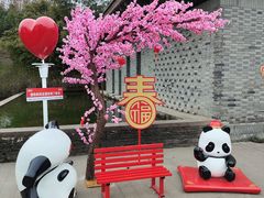 -都江堰中华大熊猫苑