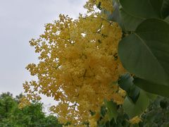 -北京植物园南门售票处