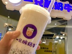 -一只酸奶牛(八一路店)