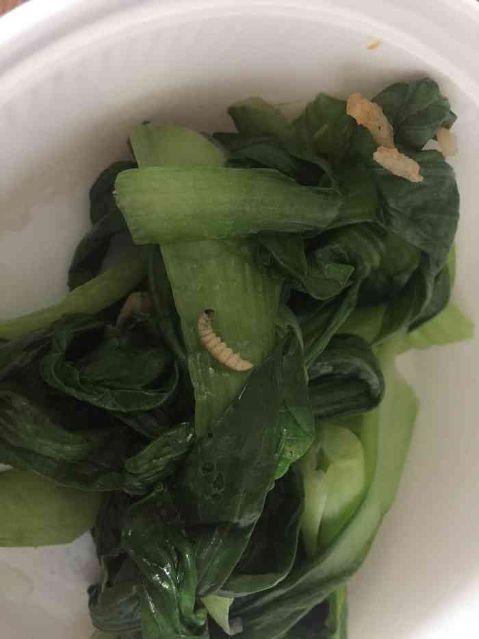 福荣祥(江桥店)-"昨晚点的外卖,本来点的新品牛腩饭,但是因.