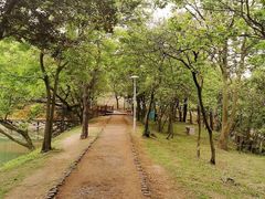 -南京市无想山景区