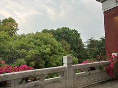 -杭州香格里拉·香宫中餐厅