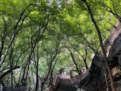 -苍岩山风景名胜区