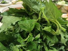 -黔府豆米火锅野菜馆(南马店)