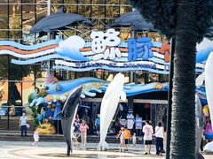 -海合安成都极地海洋公园