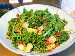 羽衣甘蓝牛油果沙拉-y SEA·西班牙餐厅(阿那亚·北戴河店)