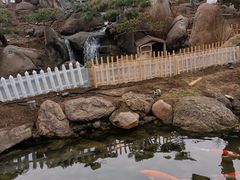 -罗红摄影艺术馆