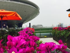 -世博源公馆·本帮融合菜·主题包厢·江景餐厅
