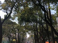 -复旦大学光华楼